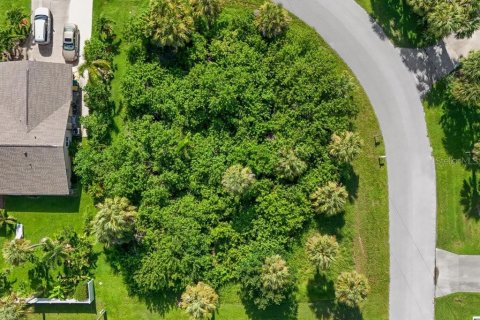 Land in Port Charlotte, Florida № 2161288
