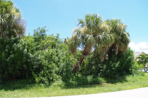 Land in Port Charlotte, Florida № 2161288 - photo 2