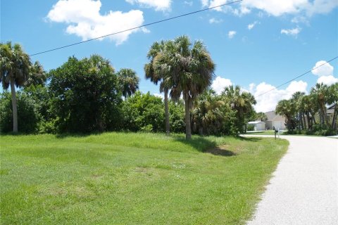 Land in Port Charlotte, Florida № 2161288 - photo 8