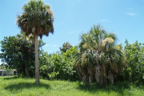 Land in Port Charlotte, Florida № 2161288 - photo 16