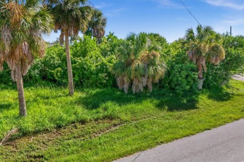 Land in Port Charlotte, Florida № 2161288 - photo 5