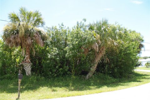 Land in Port Charlotte, Florida № 2161288 - photo 3