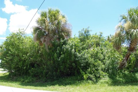 Land in Port Charlotte, Florida № 2161288 - photo 10