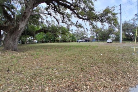 Land in Bradenton, Florida № 1566759 - photo 2