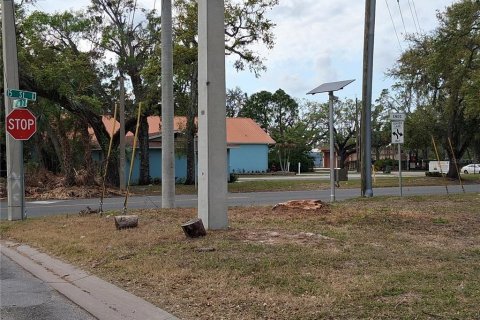 Land in Bradenton, Florida № 1566759 - photo 4