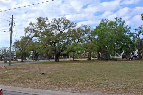 Land in Bradenton, Florida № 1566759 - photo 3