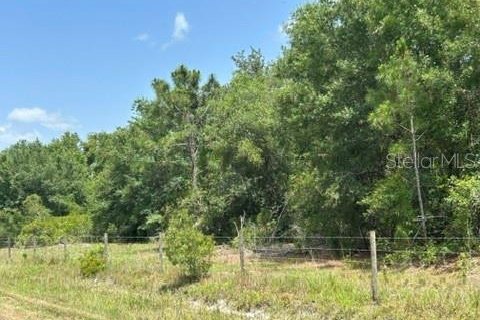 Land in North Fort Myers, Florida № 1791281 - photo 4
