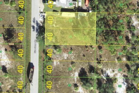 Land in Punta Gorda, Florida № 2163076 - photo 2