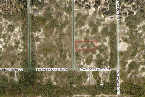 Land in Dunnellon, Florida № 2164980