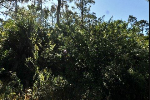 Land in North Port, Florida № 2211220 - photo 2