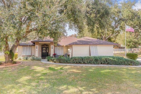 House in Haines City, Florida 3 bedrooms, 153.47 sq.m. № 2092964