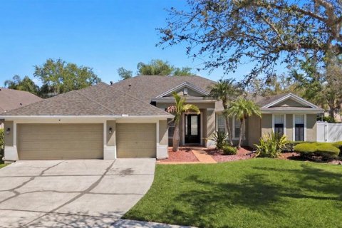 Villa ou maison à Tampa, Floride 4 chambres, 257.9 m2 № 2120657