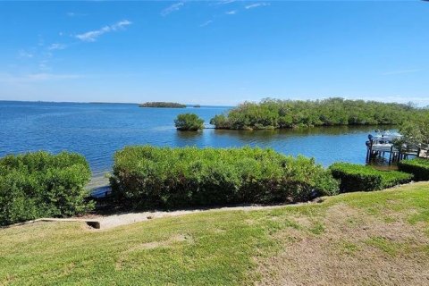 Copropriété à louer à Tierra Verde, Floride: 1 chambre, 61.78 m2 № 1422719 - photo 1