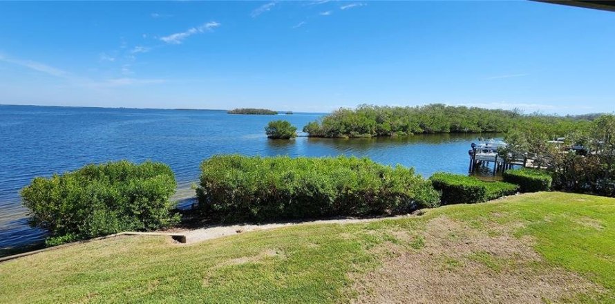 Condo à Tierra Verde, Floride, 1 chambre № 1422719