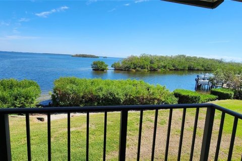 Copropriété à louer à Tierra Verde, Floride: 1 chambre, 61.78 m2 № 1422719 - photo 19
