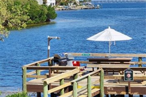 Copropriété à louer à Tierra Verde, Floride: 1 chambre, 61.78 m2 № 1422719 - photo 23