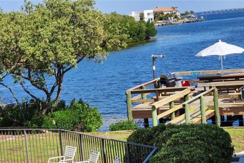 Copropriété à louer à Tierra Verde, Floride: 1 chambre, 61.78 m2 № 1422719 - photo 22