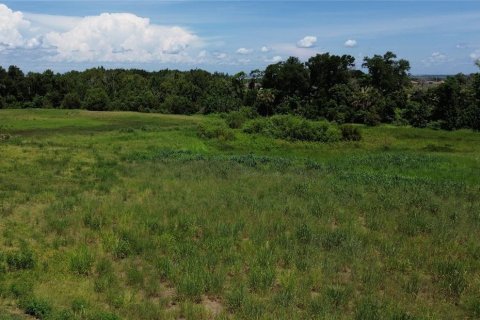 Terreno en venta en Ocoee, Florida № 1873567 - foto 3