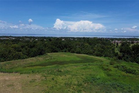 Terreno en venta en Ocoee, Florida № 1873567 - foto 2