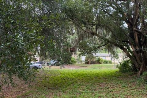 Terreno en venta en Lakeland, Florida № 2196745 - foto 2