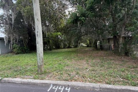 Land in Lakeland, Florida № 2196745