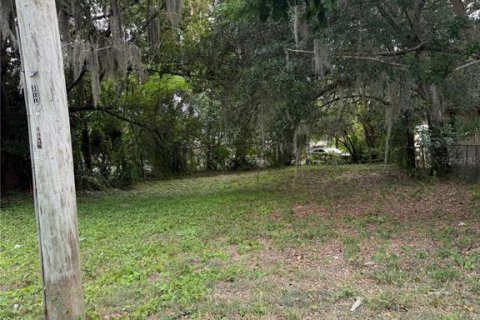 Terreno en venta en Lakeland, Florida № 2196745 - foto 3