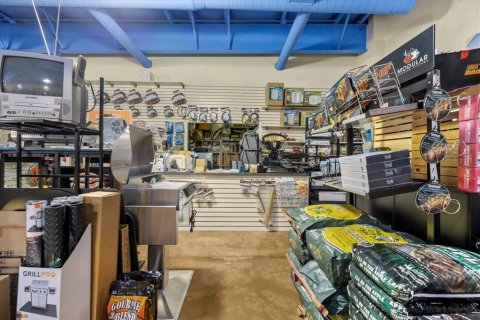 Immobilier commercial à vendre à Oldsmar, Floride: 357.67 m2 № 1616825 - photo 11
