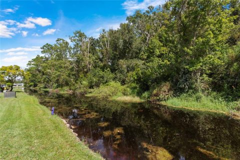 Condo in New Port Richey, Florida, 2 bedrooms  № 2208906 - photo 26