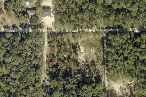 Land in Ocala, Florida № 2364505