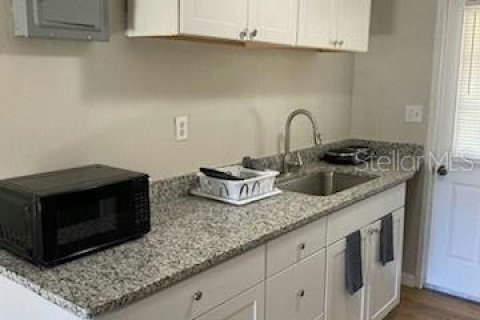 Apartamento en alquiler en Umatilla, Florida, 1 dormitorio, 51.1 m2 № 1906125 - foto 5