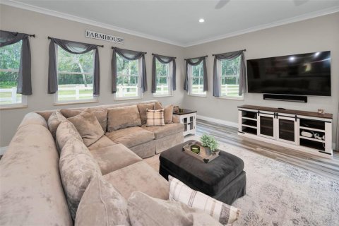 House in Tarpon Springs, Florida 4 bedrooms, 488.29 sq.m. № 1519784 - photo 23