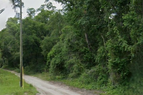 Terrain à Citra, Floride № 2218983