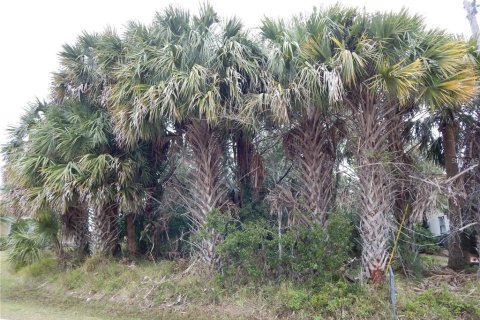 Land in Palm Coast, Florida № 2111535