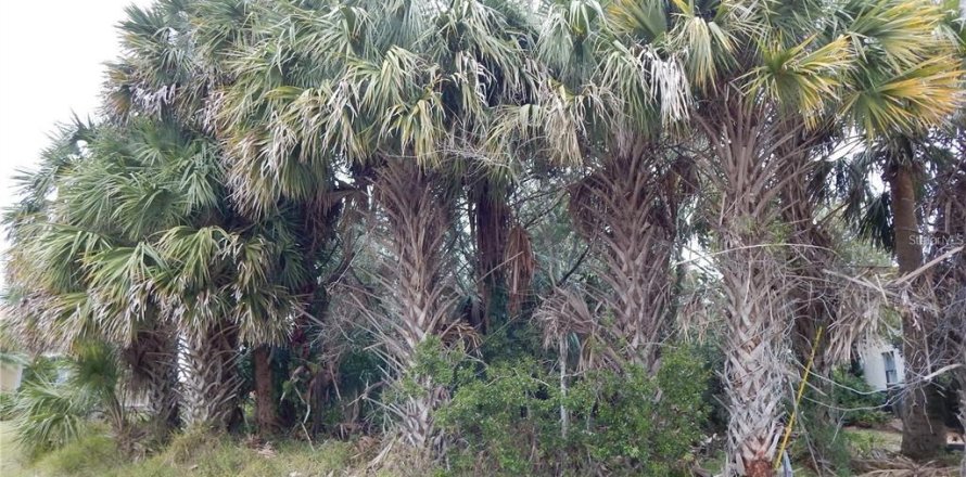 Land in Palm Coast, Florida № 2111535