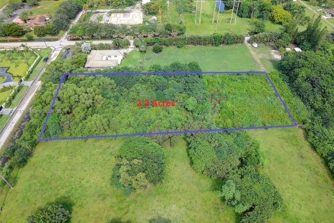 Land in Southwest Ranches, Florida № 1889122 - photo 8