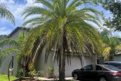 Villa ou maison à louer à Tampa, Floride: 3 chambres, 224.45 m2 № 1806964 - photo 1