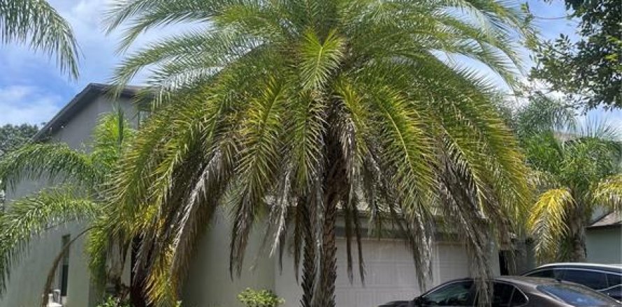 Villa ou maison à Tampa, Floride 3 chambres, 224.45 m2 № 1806964