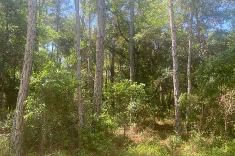 Land in Fort MC Coy, Florida № 2165156