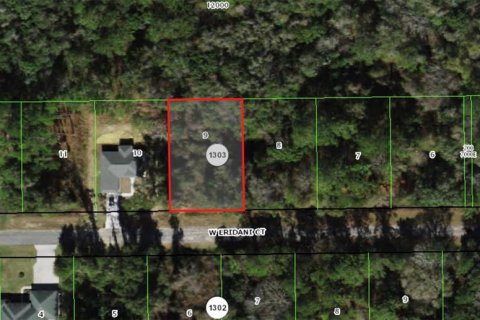 Land in Citrus Springs, Florida № 2353398