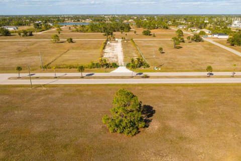 Land in Placida, Florida № 2212095 - photo 5