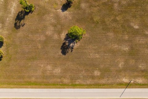 Land in Placida, Florida № 2212095 - photo 8