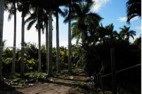 Купить коммерческую недвижимость в Майами-Дейд, Флорида № 1936577 - фото 2