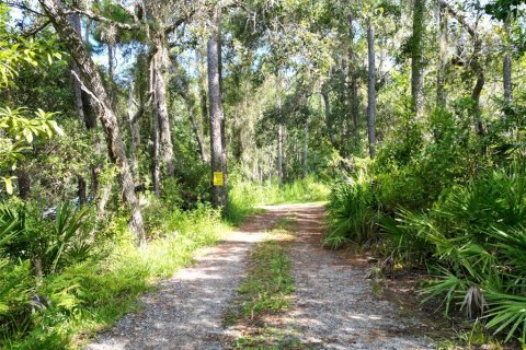 Land in Brooksville, Florida № 1917269 - photo 4