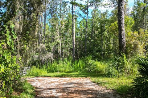 Land in Brooksville, Florida № 1917269 - photo 2