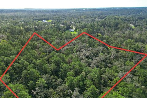 Land in Brooksville, Florida № 1917269 - photo 5