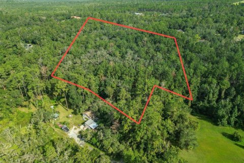 Land in Brooksville, Florida № 1917269 - photo 1