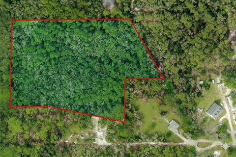 Land in Brooksville, Florida № 1917269 - photo 3