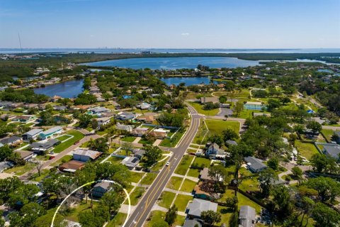 Villa ou maison à vendre à Saint Petersburg, Floride: 3 chambres, 156.45 m2 № 1634077 - photo 5