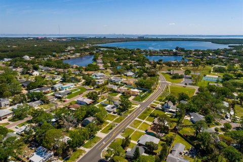 Villa ou maison à vendre à Saint Petersburg, Floride: 3 chambres, 156.45 m2 № 1634077 - photo 4