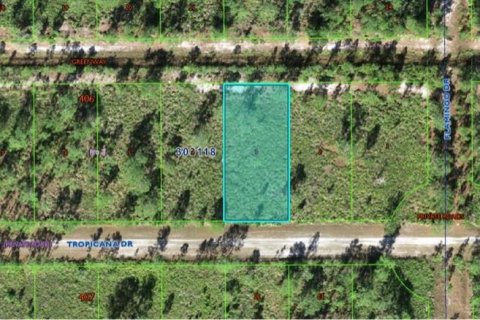 Terrain à Indian lake estates, Floride № 2162019